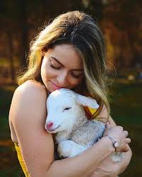 Gentle lamb with fluffy white wool meeting children