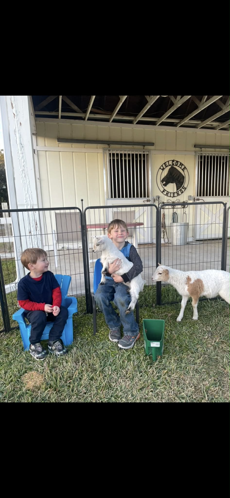 Excited children petting gentle sheep at a safari-themed party